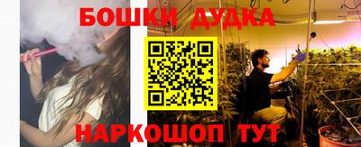 крисы Новозыбков