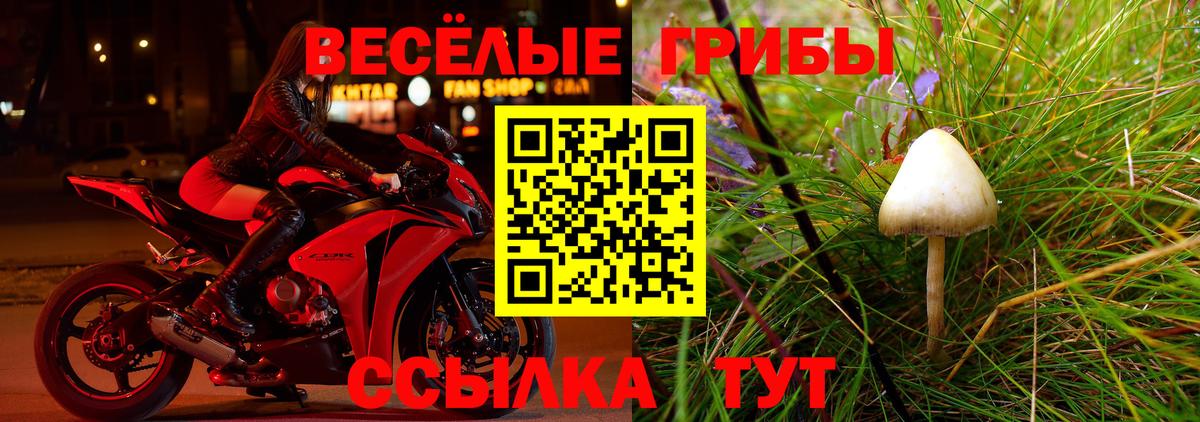 Псилоцибиновые грибы GOLDEN TEACHER  Галлюциногенные грибы мухоморы  Вход с VPN  Сызрань 
