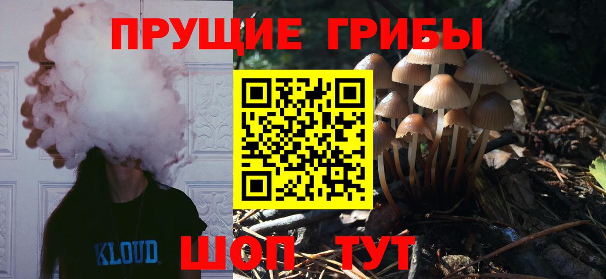 Галлюциногенные грибы GOLDEN TEACHER Сызрань